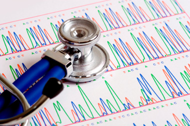 The Human Genome (articles)