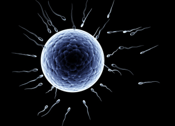 When is an embryo? (articles)